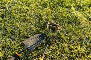 Dog Waste Removal Oklahoma City