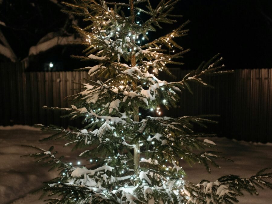 Holiday Light Installation OKC