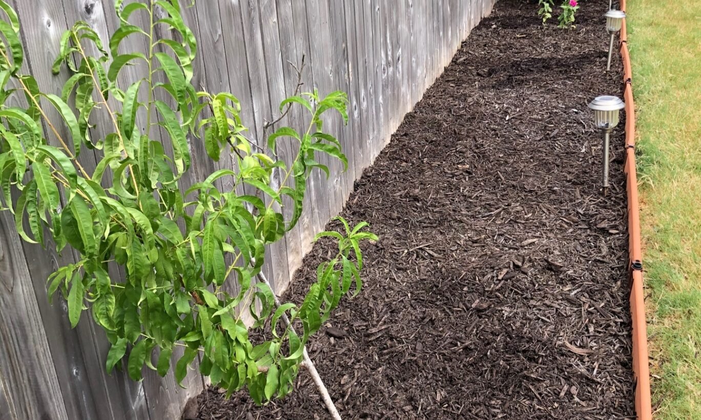 Fence Line Bed Cleanup & Fresh Mulch